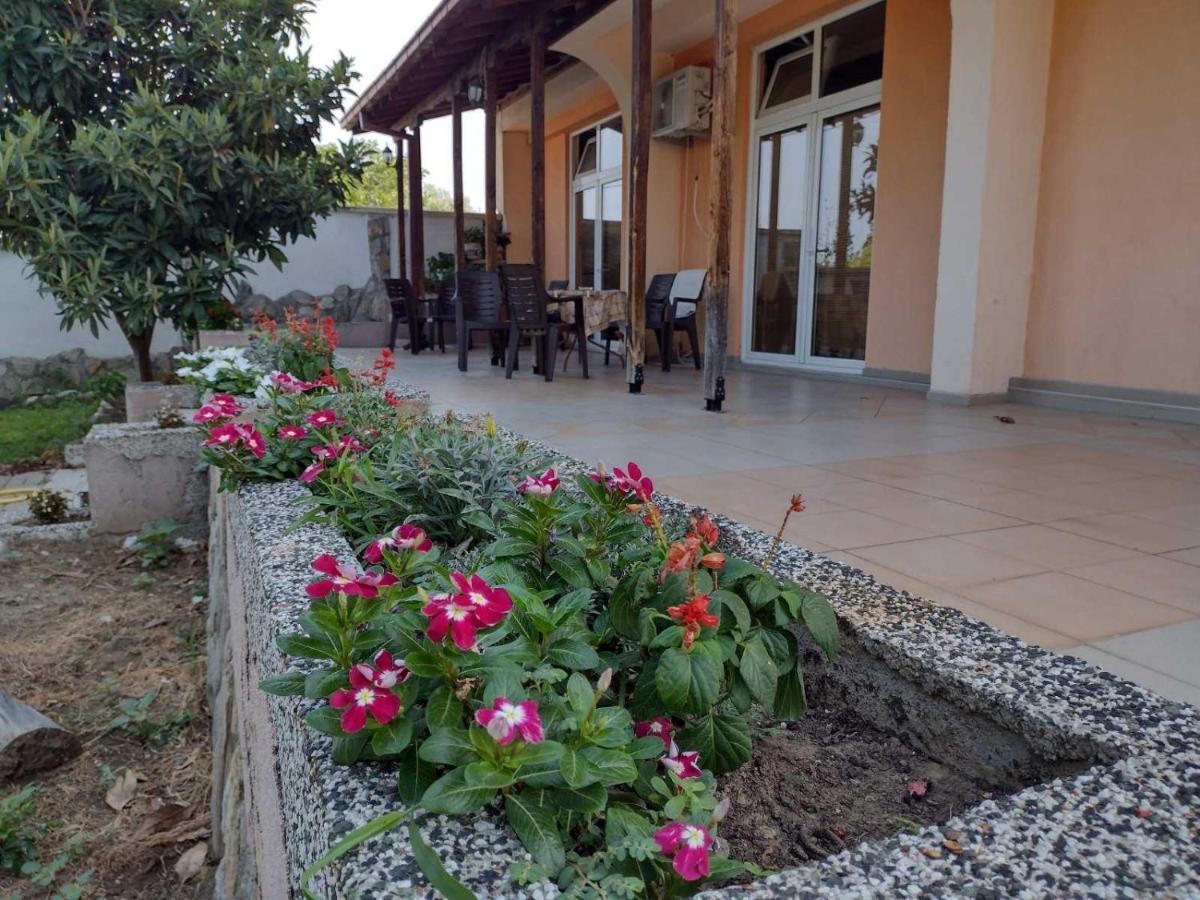 Shale Apartments And Rooms Gewgelija Zewnętrze zdjęcie
